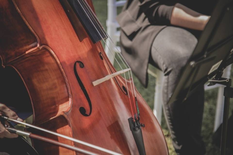 Violonchelo para bodas