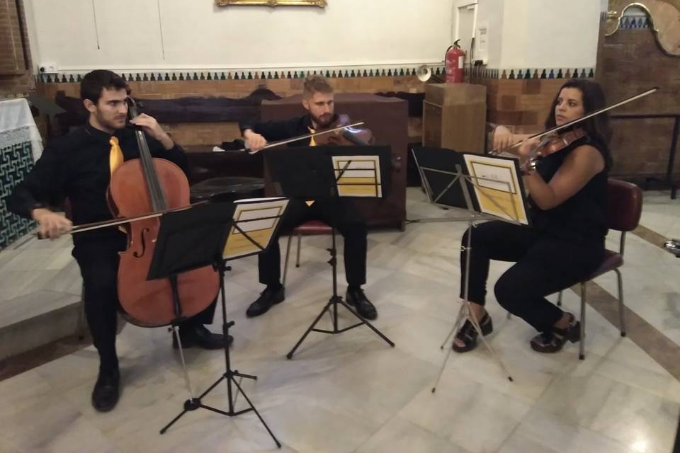 Ponle música