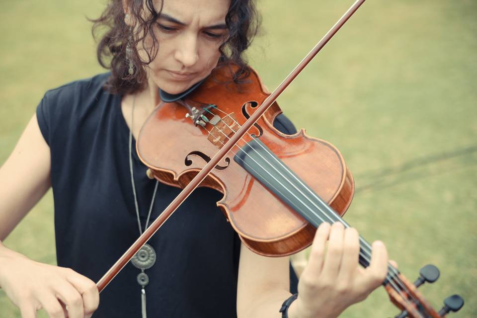 Violín para ceremonia