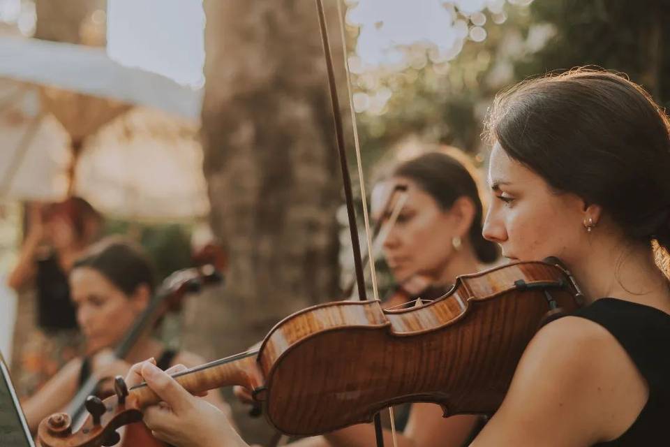 Violonchelo para bodas