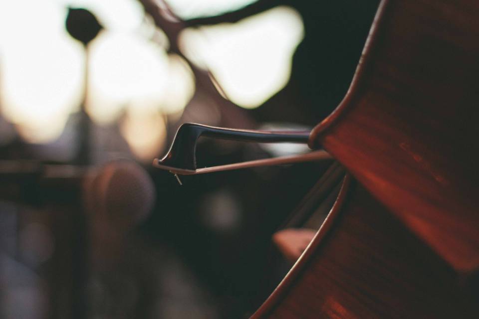 Ponle música