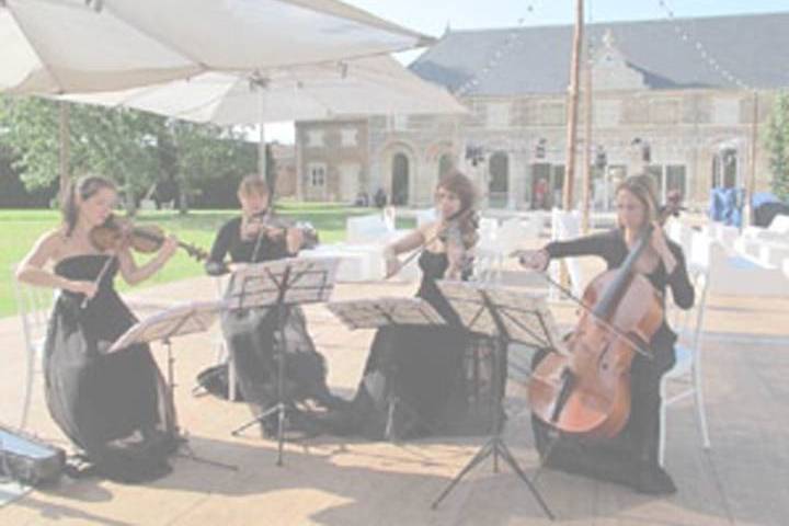 Cuarteto Boda Cóctel Vitoria