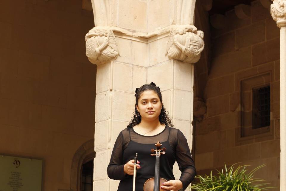 Violinista profesional