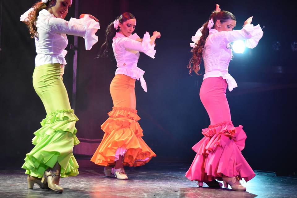 Flamenco Project