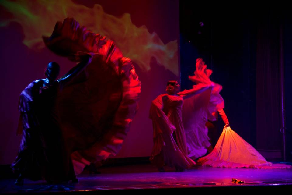 Flamenco Project