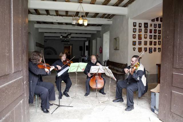Audición tu melodía