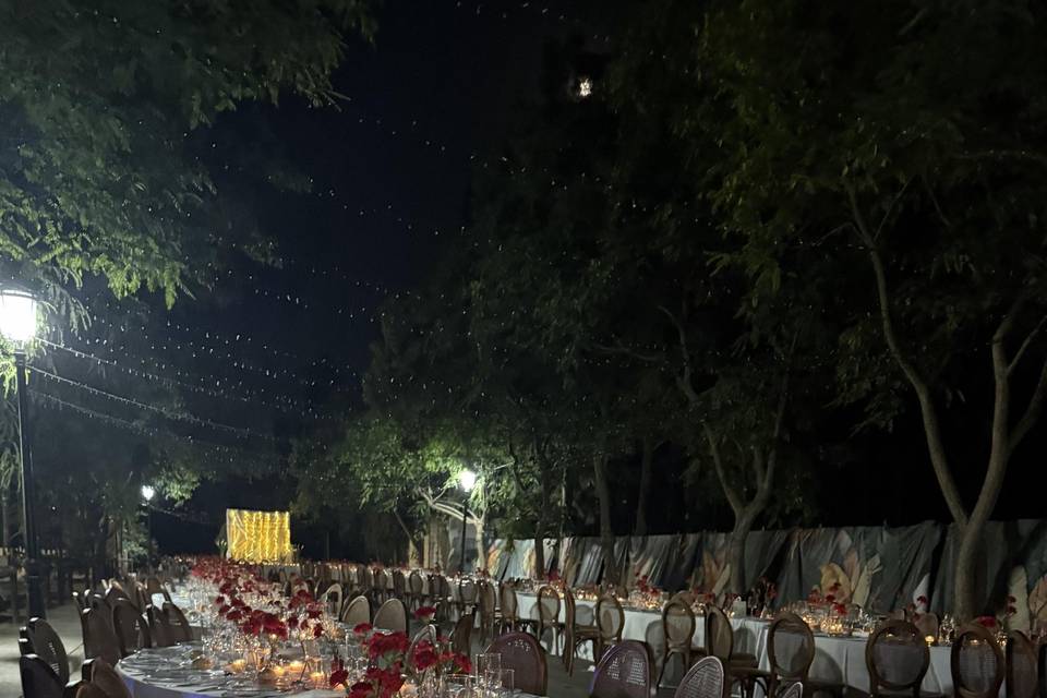 Velas