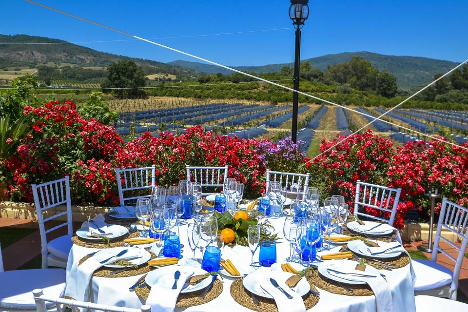 Montaje de banquete de boda