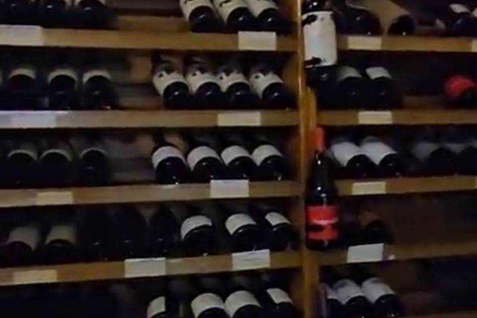 Vinos de la bodega