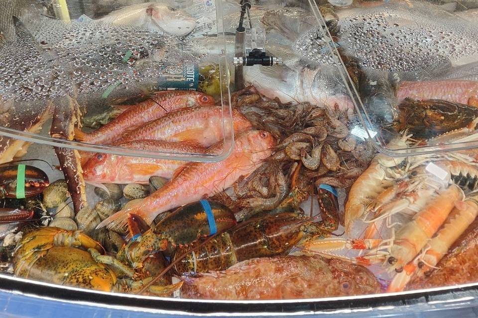 Variedad de mariscos