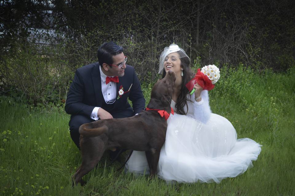 Un besito de mi perro