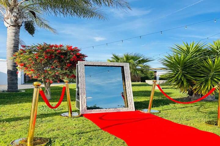 Vive el momento
