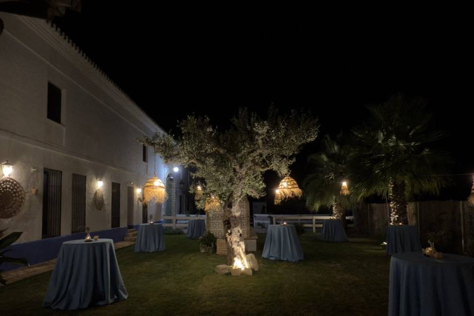 Jardín