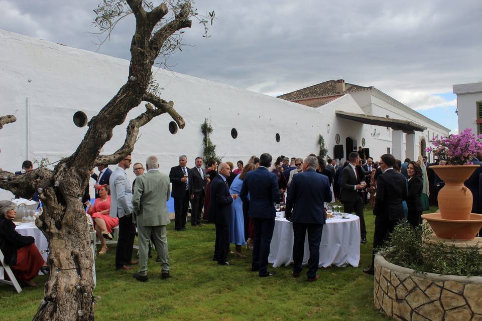 Jardin Almuzara