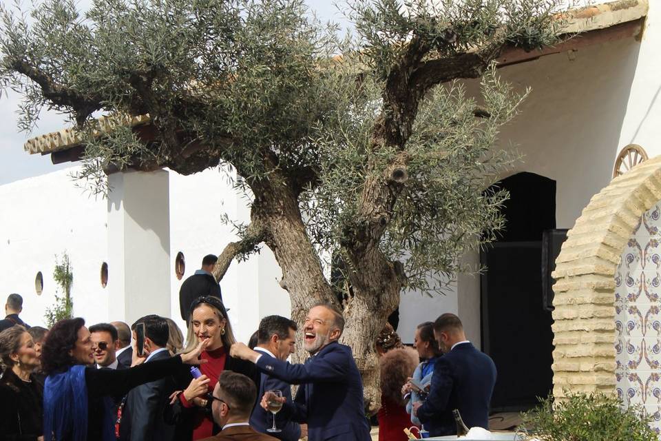 Jardin Almuzara