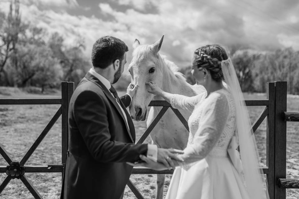 Eduardo Allanegui Photography