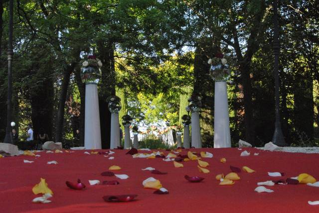 Espectaculares entradas