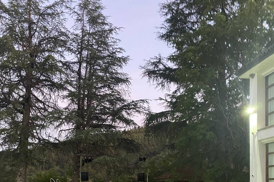 Jardín central evento