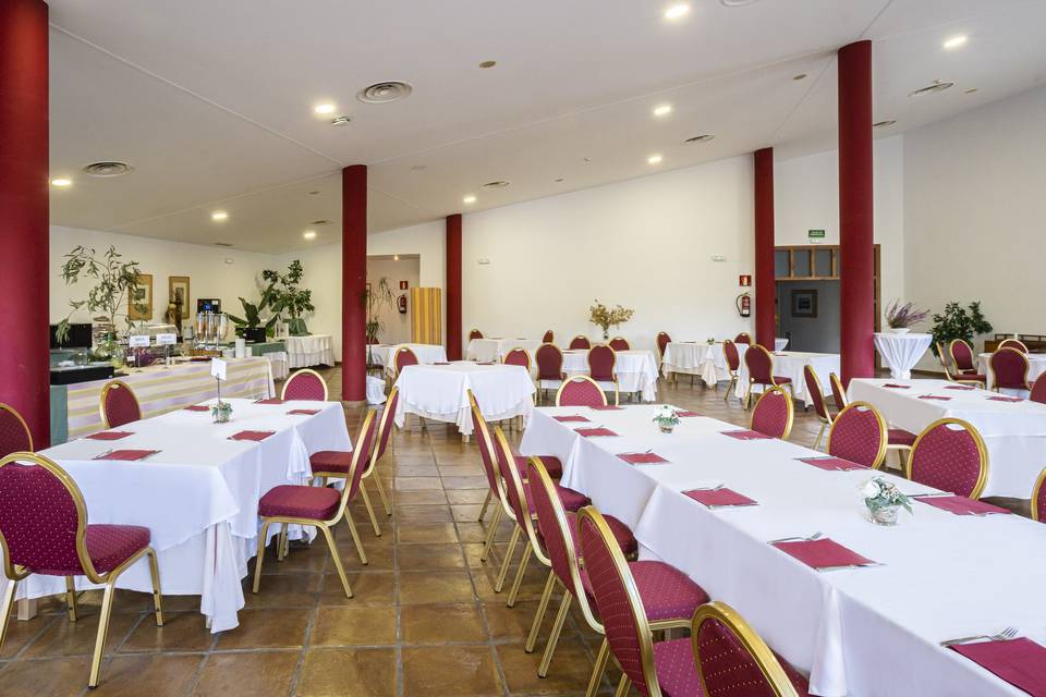 Salón Enebro