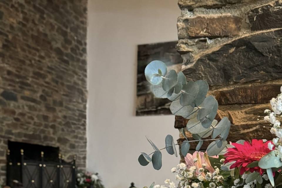 Zona chimenea interior