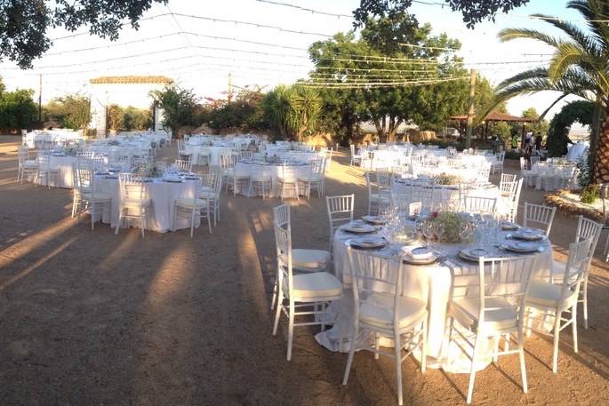 Entreolivos Catering