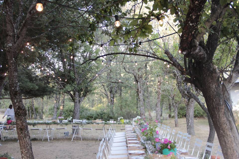 Boda Kozinart en el bosque