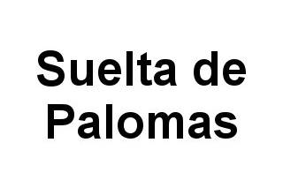 Regreso al palomar