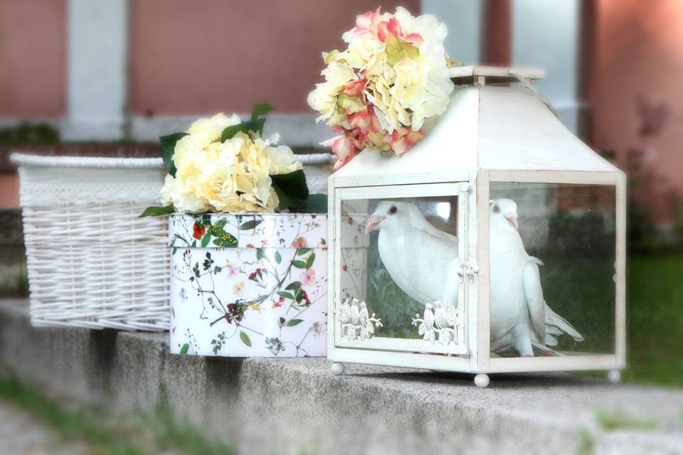 Suelta de Palomas