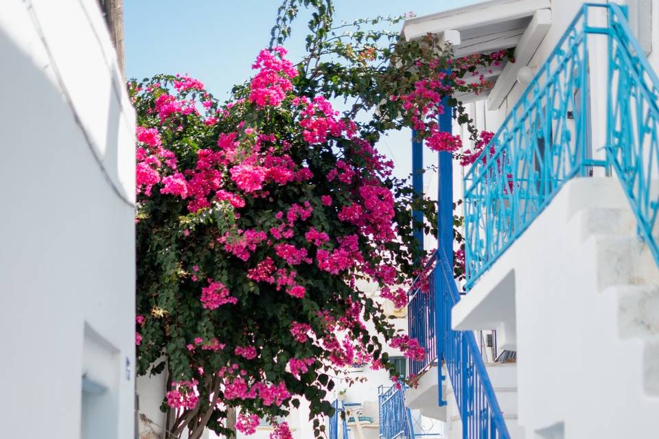 Tradición, Paros, Grecia