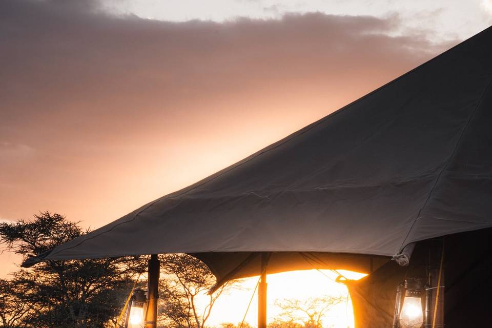 Safari en Tanzania