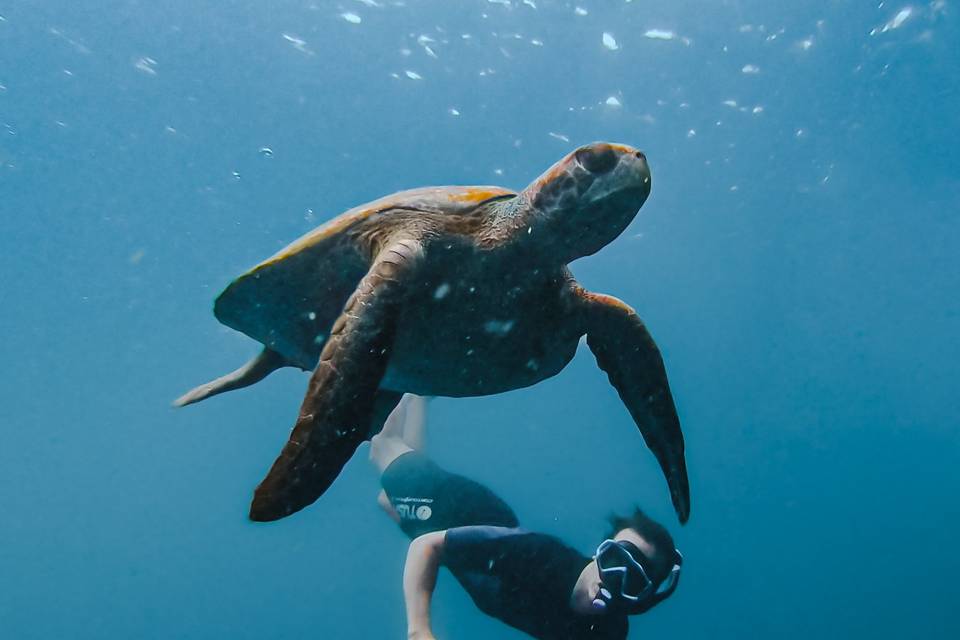 Islas Galápagos