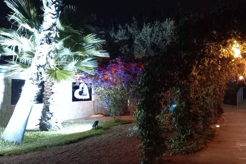 Jardín de noche