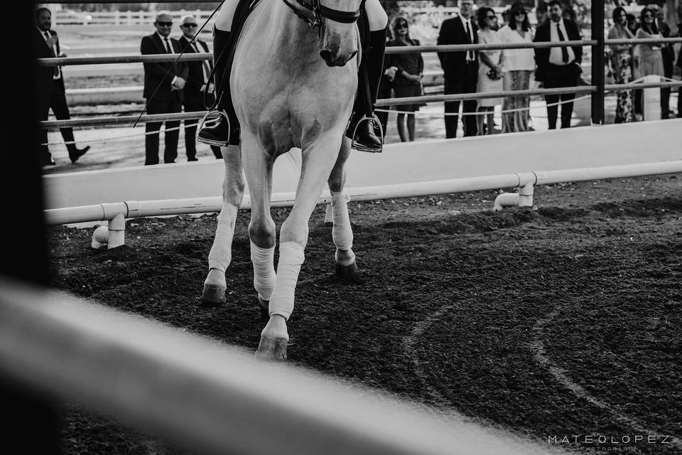 Mateo López - Fotografía