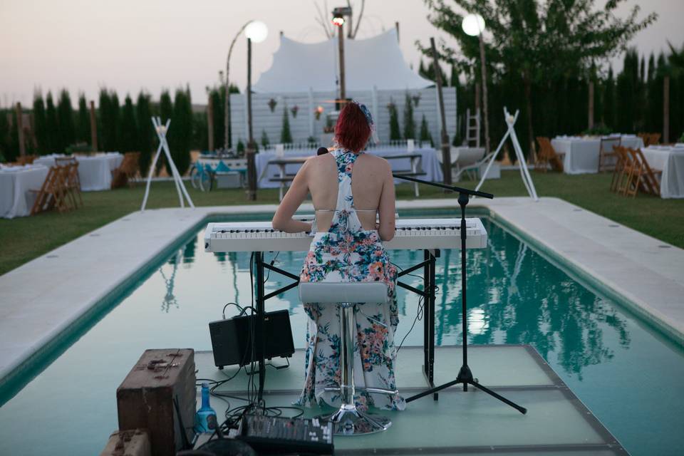 Aérea bodas en la playa