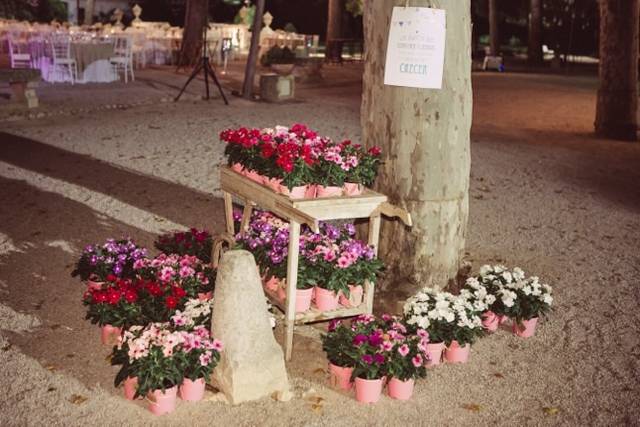 Rincones especiales