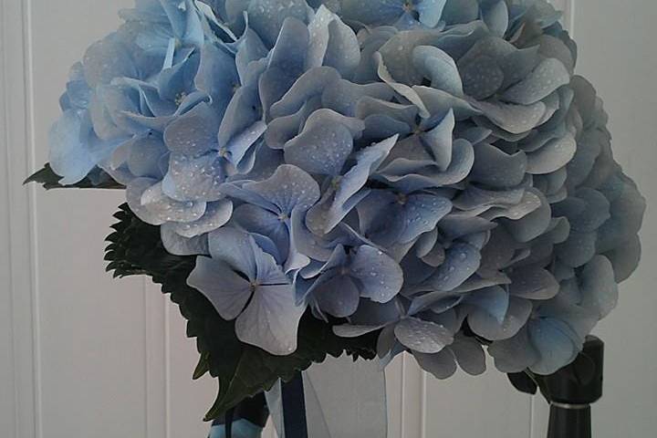 Hortensias azules