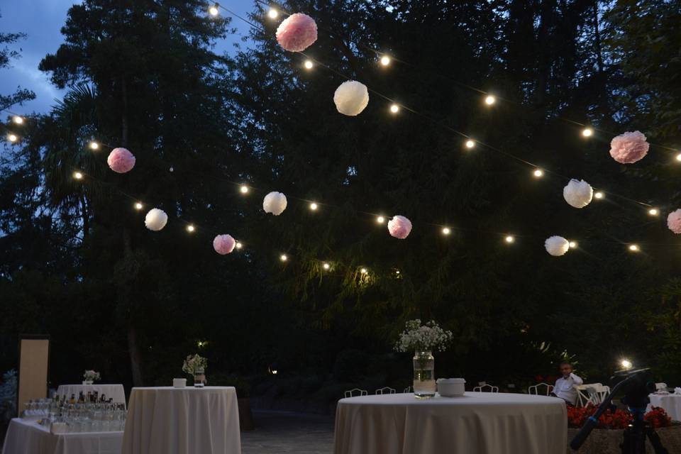 Carpa peque. Disco exterior.