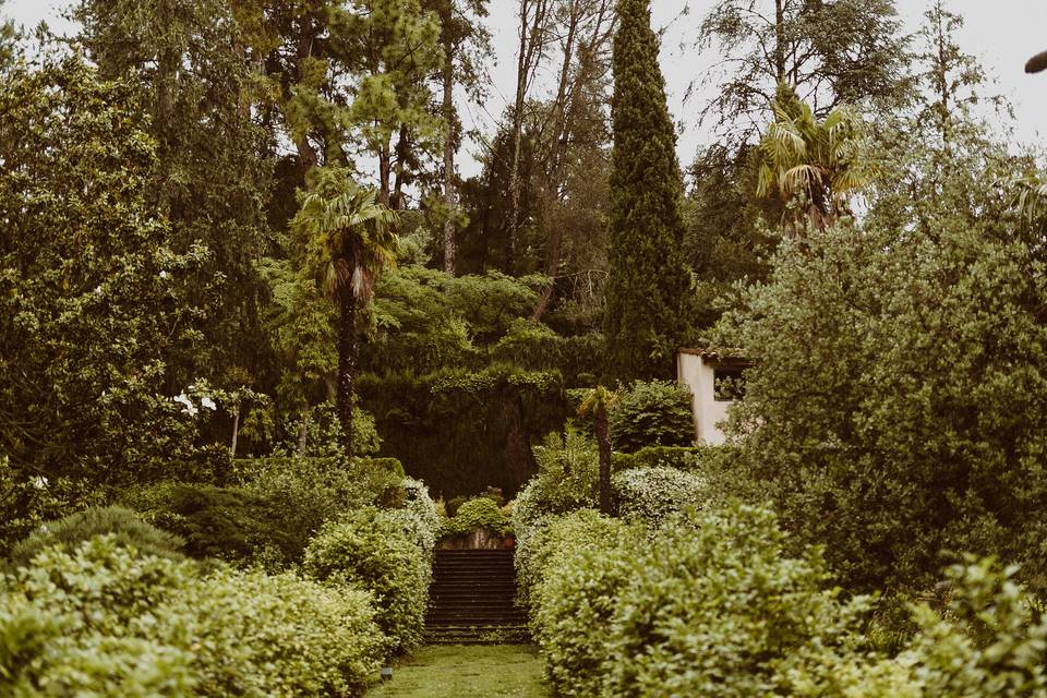 Pasillo. Entrada al jardín.