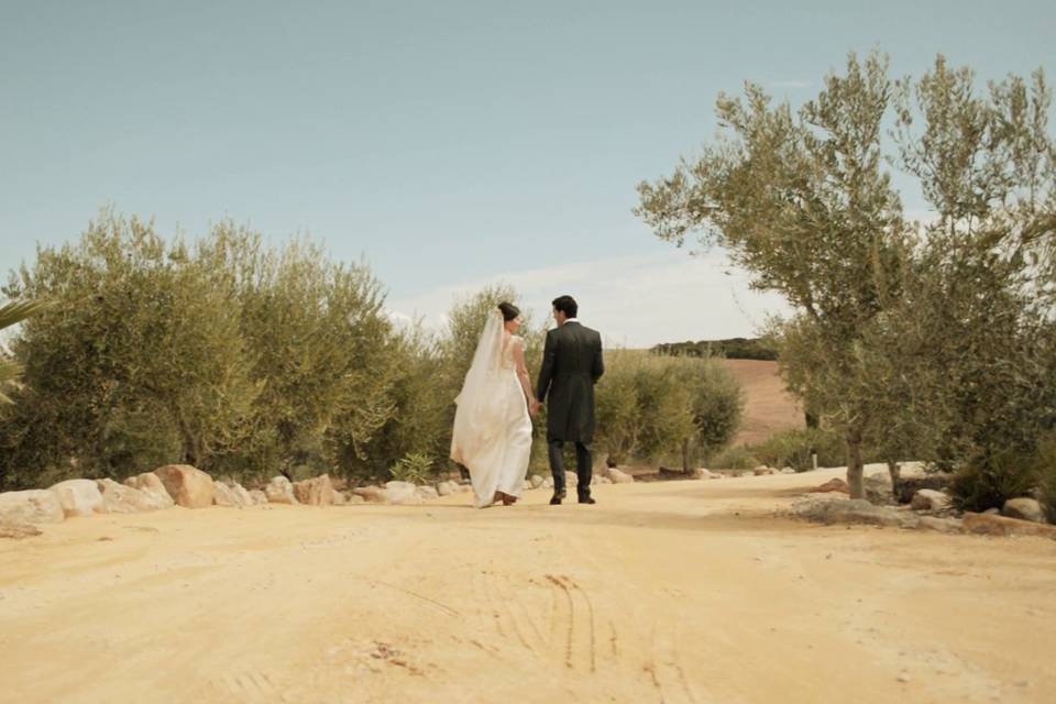 Paseo de los novios