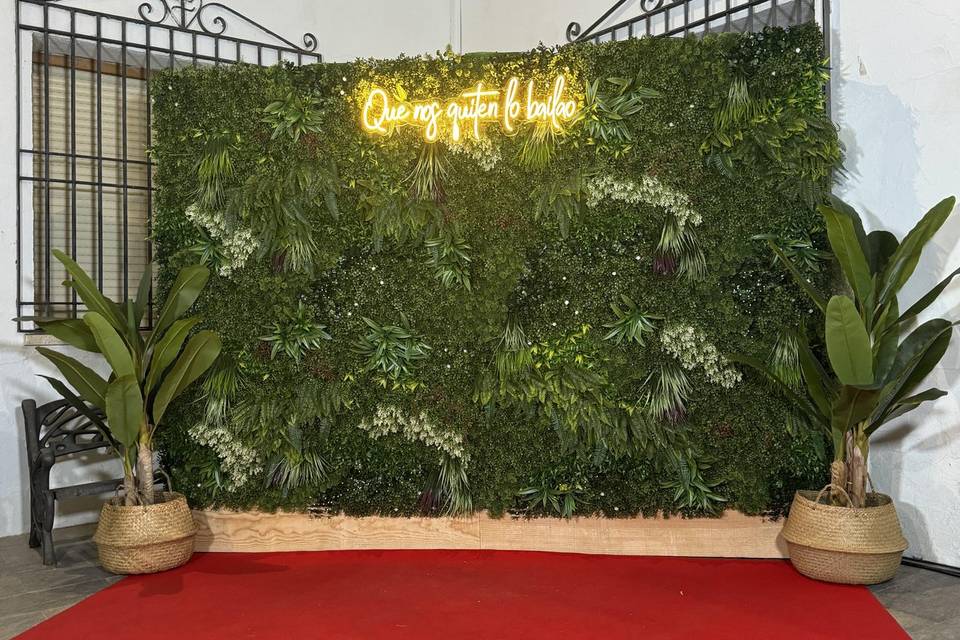 Photocall
