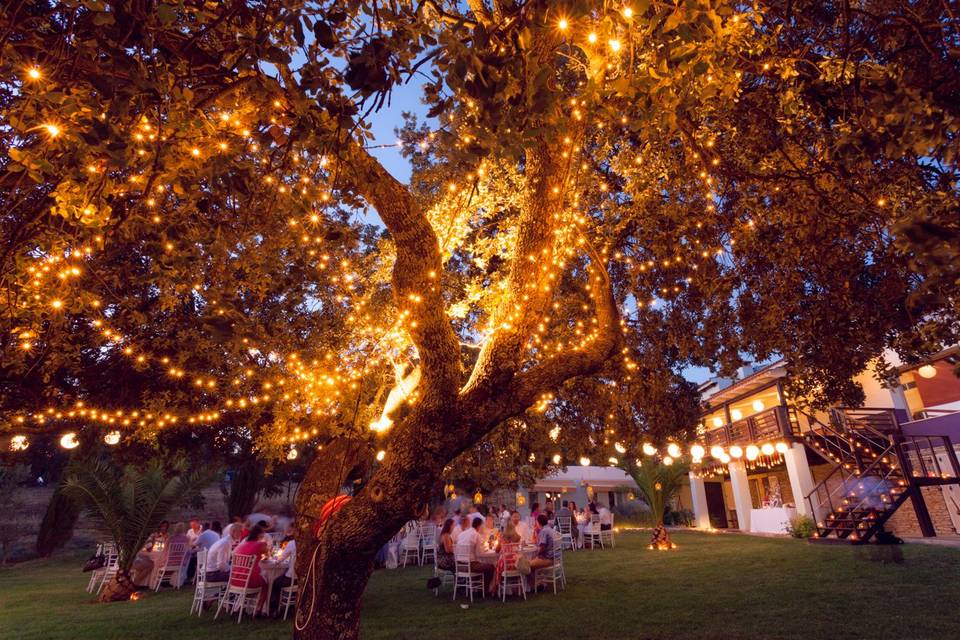 Cena al aire libre