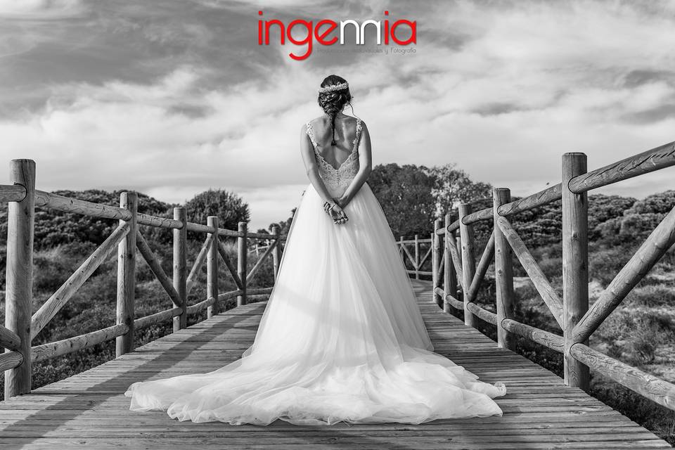 Ingennia Producciones