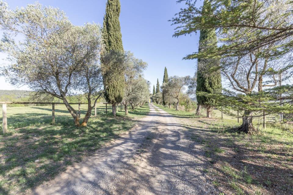 Camino de entrada