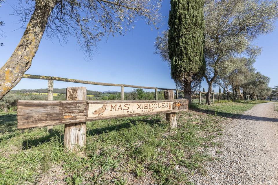 Entrada