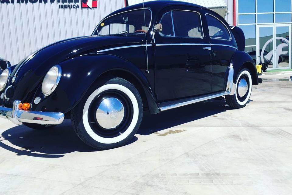 Vw oval 1953