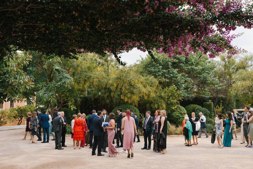 La boda de Antonio y Laura