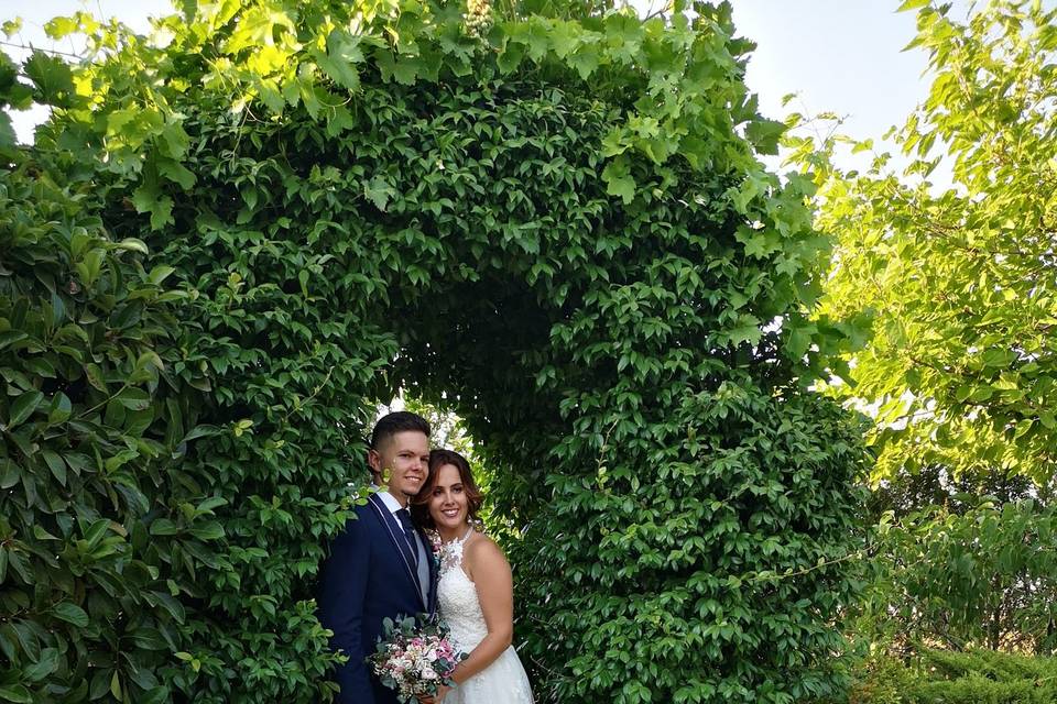 Novios