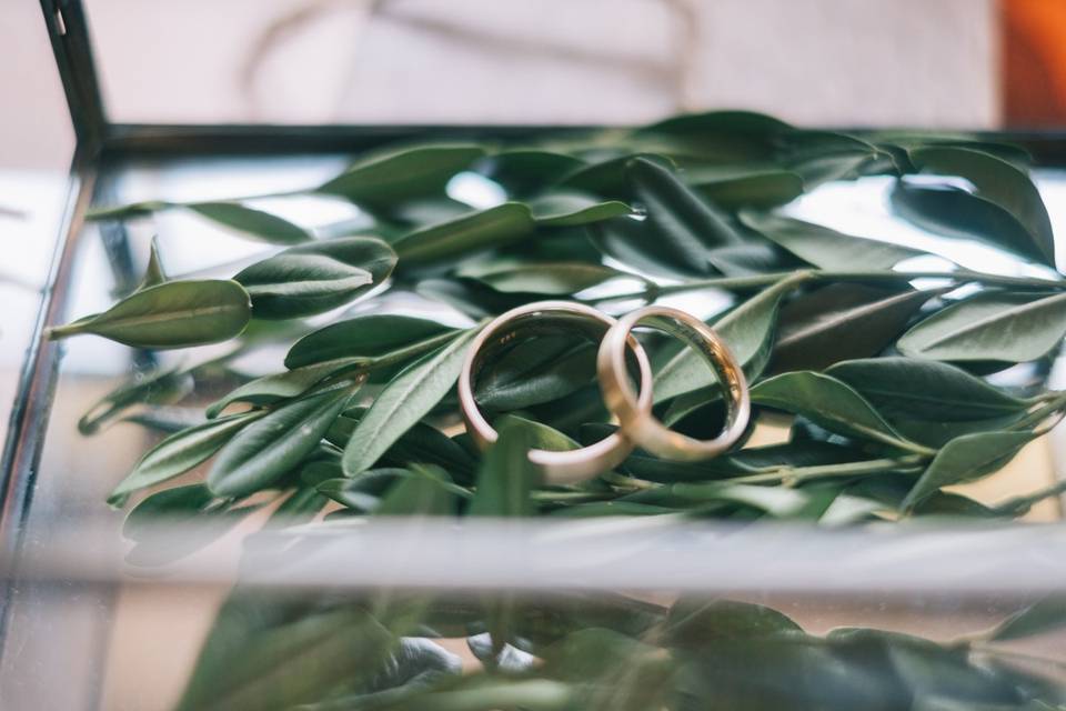 Anillos de boda