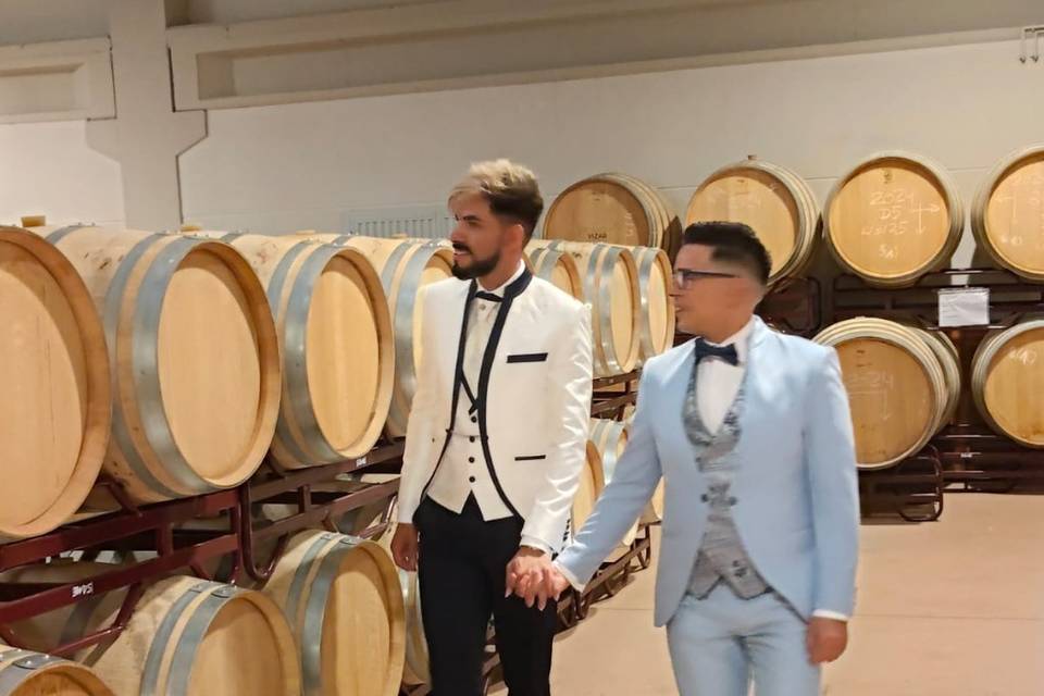 Novios
