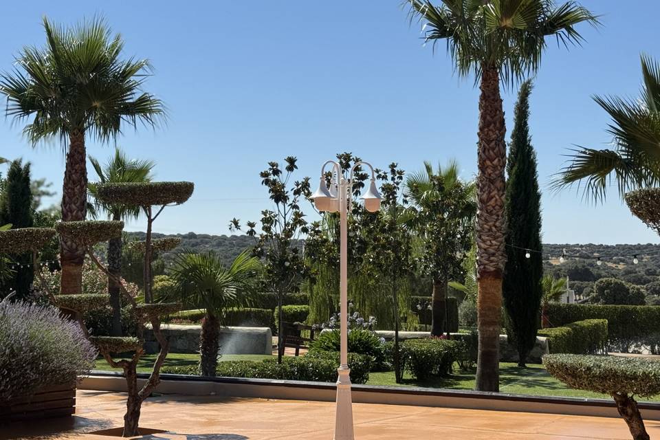 Terraza
